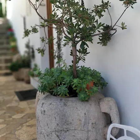Adriatic Apartman