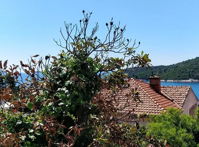 Adriatic *