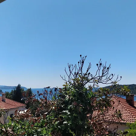 Adriatic *