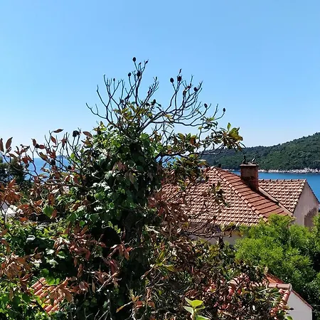 Adriatic *