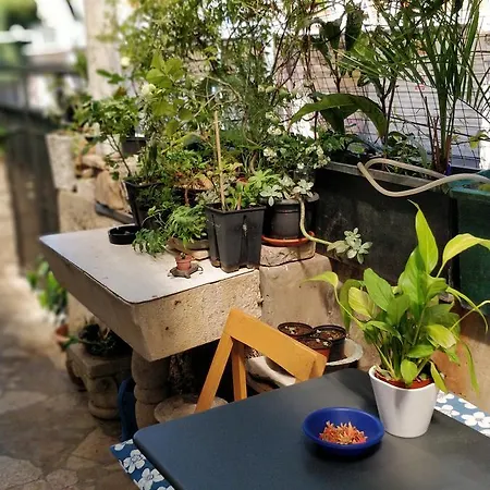 아드리아틱 아파트먼트